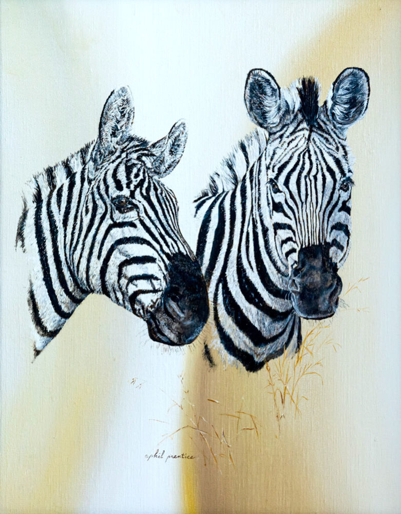 Zebra Twins